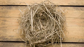 NICE - Nest